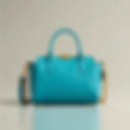 Elegant Armine bag showcasing a blend of style and functionality