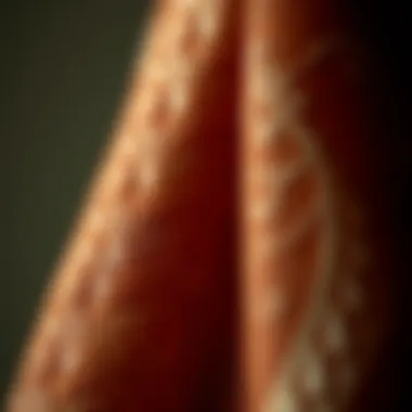 Intricate Fabric Design of Brown Ferace Close-up of detailed fabric texture of a brown ferace