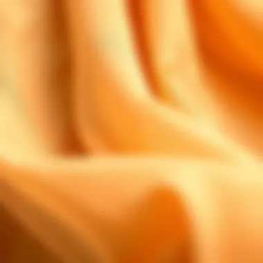 Close-up of intricate chiffon fabric details