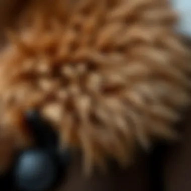 Close-up of the texture of suede material and fur collar