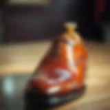 A polished pair of dress shoes suitable for formal occasions.