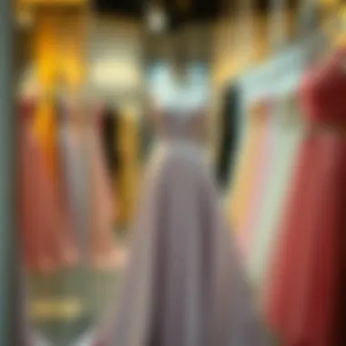 Elegant evening gown selection in Gaziantep rental shop