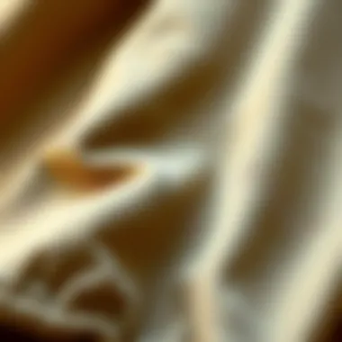 Close-up of jogger pants fabric and details