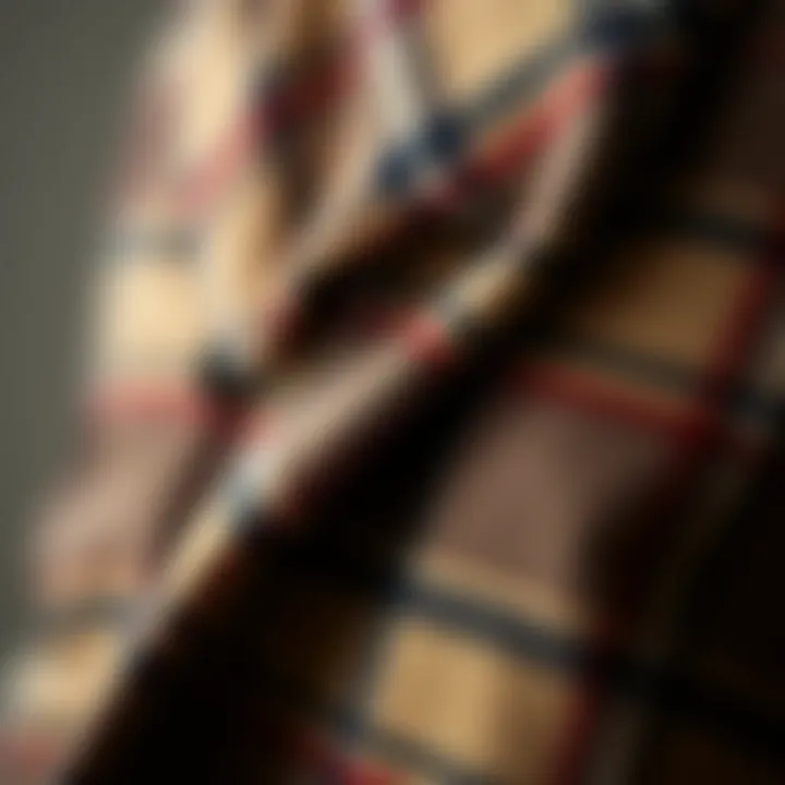 Textile Excellence: Cozy and Chic Close-up of high-quality fabric of a plaid coat