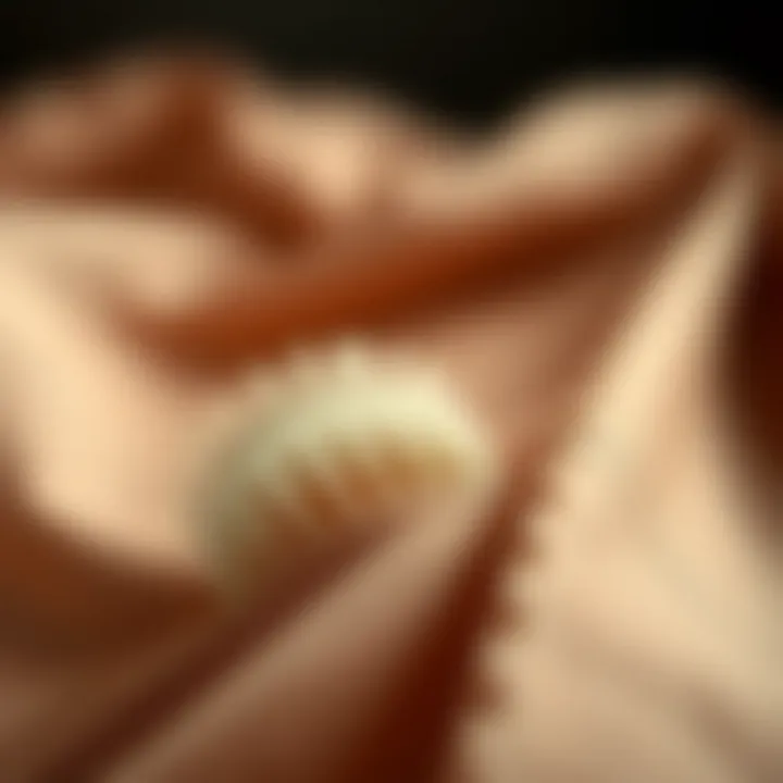 Detail view of fabric texture used in Kayra Giyim ferace
