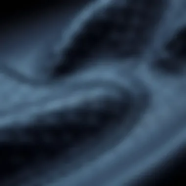 Close-up of premium navy leather texture