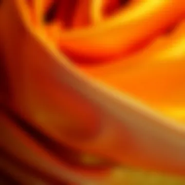 A close-up of luxurious fabric textures used in shiny dresses.