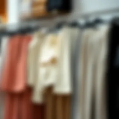 Diverse Styles of Pleated Wide-leg Trousers A rack showcasing various styles of pleated wide-leg trousers