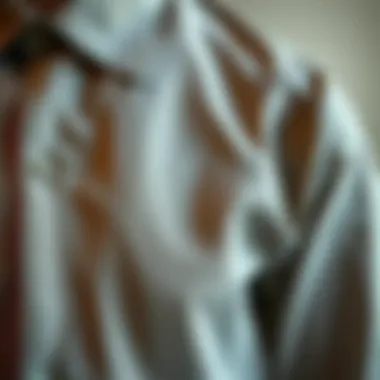 Fabric Texture of Ravelli Shirt Close-up of the fabric texture of a Ravelli shirt