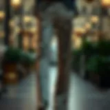 Elegant Embellished Trousers Elegant design of embellished trousers showcasing intricate details