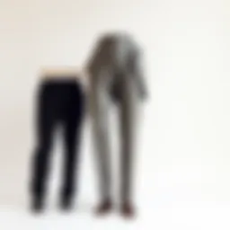 Elegant tailored trousers displayed on a clean background