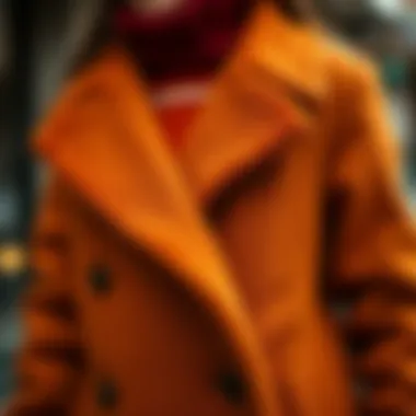 Color palette selection for winter coat